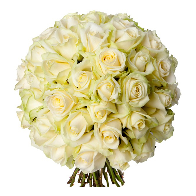 Bouquet 50 roses blanches - livraison fleurs blanches - France Fleurs