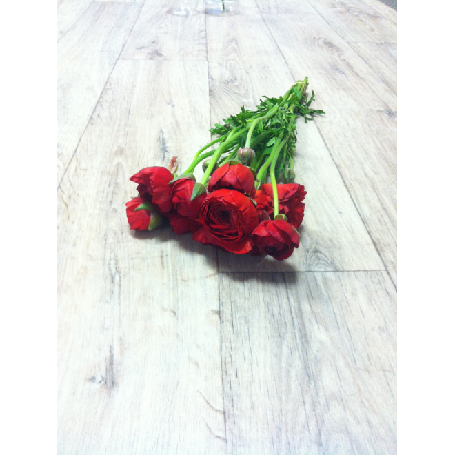Renoncules rouges - Livraison de fleurs coupées
