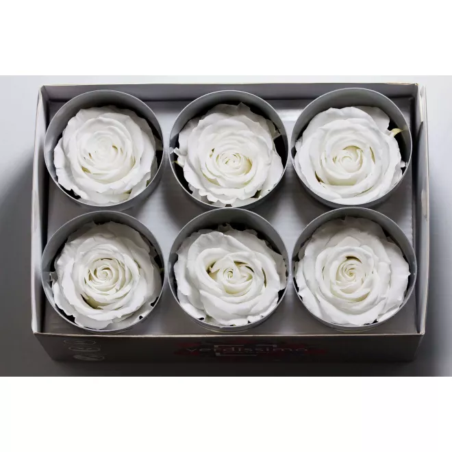 6-roses-eternelles-blanches.webp