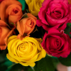 Roses à muguet rouges - France Fleurs