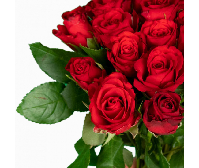 Descubra 48 kuva bouquet de rose rouge avec muguet - Thptnganamst.edu.vn